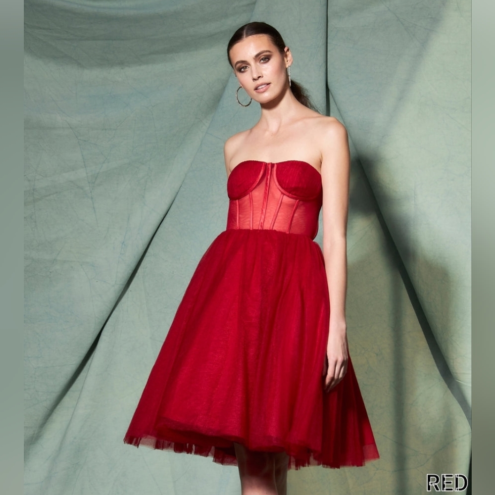 Women's Red Tulle A-line Gown